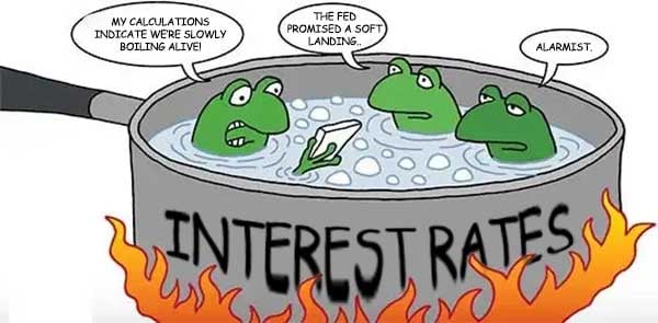 frogs-in-a-pot